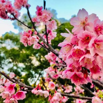 失敗するのが怖い時
