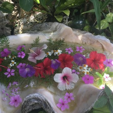 ネガティブな自分は引き寄せられない