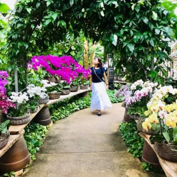 幸せになるためには